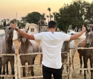Essam Elsakka Instagram - My Kids ❤️🐴🐴. #horse #horses #horsesofinstagram #equestrian #horseriding #equine #pony #pferd #equestrianlife #horselove #dressage #horselover #instahorse #love #cheval #showjumping #horselife #photography #nature #pferde #horseofinstagram #caballo #riding #horsebackriding #pferdeliebe #caballos #horsepower #horsephotography #essamelsaka