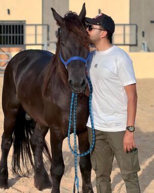 Essam Elsakka Instagram - 🐴🖤 #horse #horses #horsesofinstagram #equestrian #horseriding #equine #pony #pferd #equestrianlife #horselove #dressage #horselover #instahorse #love #cheval #showjumping #horselife #photography #nature #pferde #horseofinstagram #caballo #riding #horsebackriding #pferdeliebe #caballos #horsepower #horsephotography #instagram #cavalo