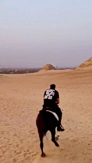Essam Elsakka Instagram - #horse #horses #horsesofinstagram #equestrian #horseriding #equine #pony #pferd #equestrianlife #horselove #dressage #horselover #instahorse #love #cheval #showjumping #horselife #photography #nature #pferde #horseofinstagram #caballo #riding #horsebackriding #pferdeliebe #caballos #instagram #cavalo ❤️🐎🐎 #essamelsaka  #essamelsakkaa