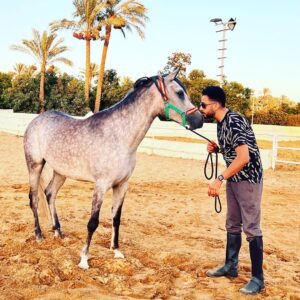 Essam Elsakka Instagram - #horse ❤️🐎❤️