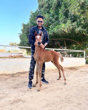 Essam Elsakka Instagram - نعيم ❤️🐴

ماشاءالله  تبارك الله