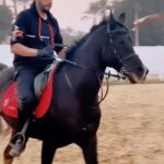 Essam Elsakka Instagram - #horse #horses ##equestrian #horseriding #equine #pony #equestrianlife #horselove #dressage #horselover #instahorse #love #cheval #showjumping #horselife #photography #nature #pferde ##caballo #riding #horsebackriding #pferdeliebe #caballos #horsepower #horsephotography #cavalo #عصام_السقا #essamelsakkaa #essamelsaka