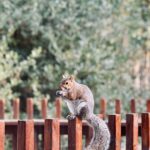 Ethan Payne Instagram - our first trip away, saw some seals, drank some pints, jumped out a few trees and loved every moment 🌳🦭🍺 Thetford Forest