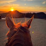 Eugenio Siller Instagram - Amazing day with friends and horses … 🐴 ☀️ / Día increíble con amigos y caballos … Hollywood Sign Scenic View