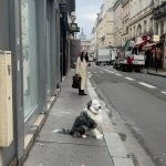 Eva Marisol Gutowski Instagram – My granny panties and i vs fashion week 📈 Paris, France