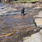 Eve Instagram - #hubby #hendrix #nature #happiness Linn of Dee