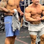 Fabrício Werdum Instagram - É MELHOR CADA UM FICAR NA SUA ÁREA! DESCULPA @gnomo.oficial