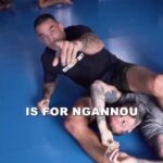 Fabrício Werdum Instagram - WERDUM VS @francisngannou QUAL É SEU PALPITE? @estrelabet
