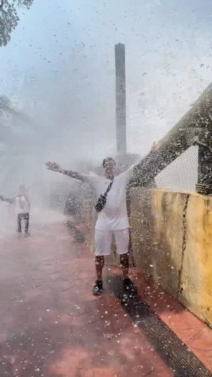 Felipe Prior Instagram - Diversão y diversão 🎢🎢 no @buschgardens