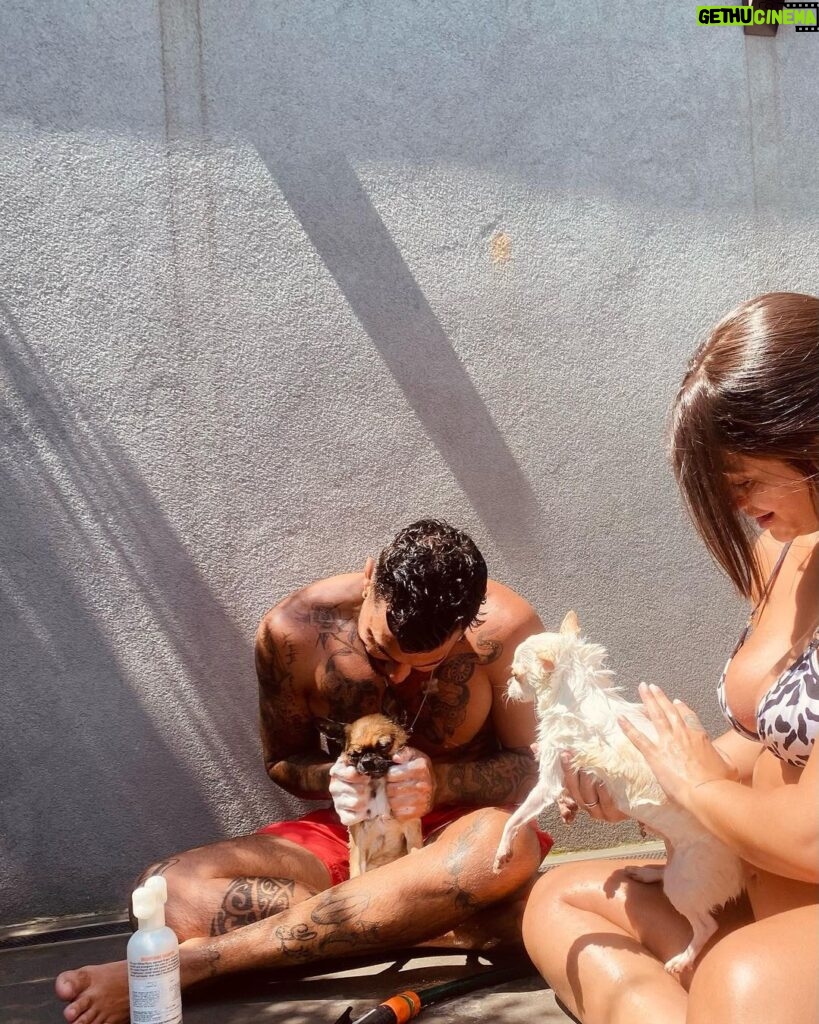 Felipe Ribeiro Instagram - final de semana de descanso curtindo a casinha nova e os dogs 🤏🏽🤍 nossa família 😍 Alphaville