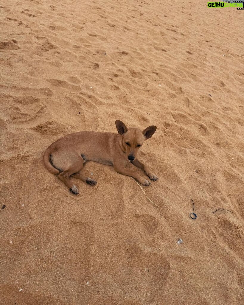 Felipe Ribeiro Instagram - caraivando com muito amor, caju e caramelos 🫶🏽 Caraíva, Bahia, Brazil