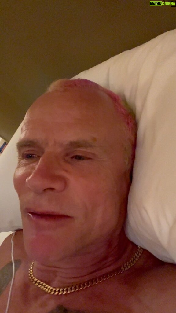 Flea Instagram - Japan