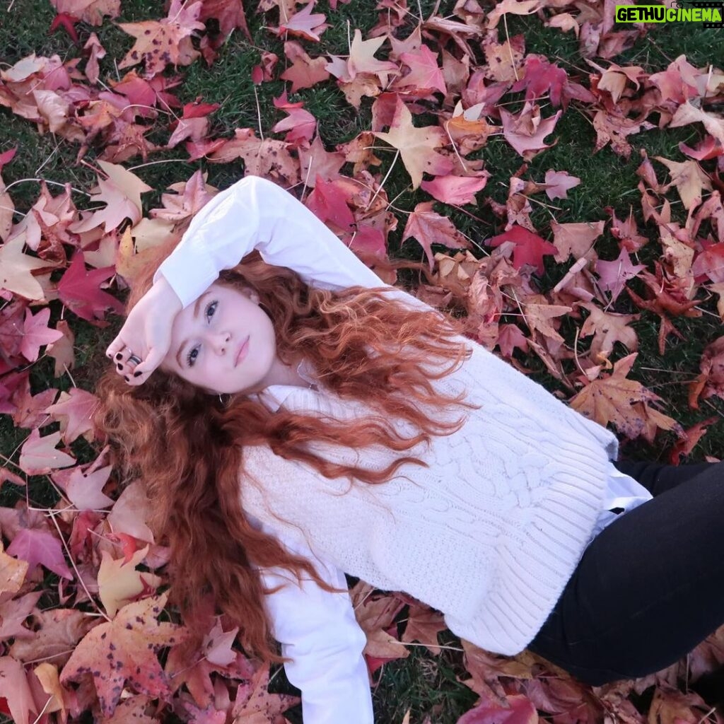 Francesca Capaldi Instagram - Happy Thanksgiving! I am so thankful for all of you and for my friends and family. Stay safe and healthy and make sure to give your loved ones a hug or a virtual hug! 🤍🍁🤎🍂