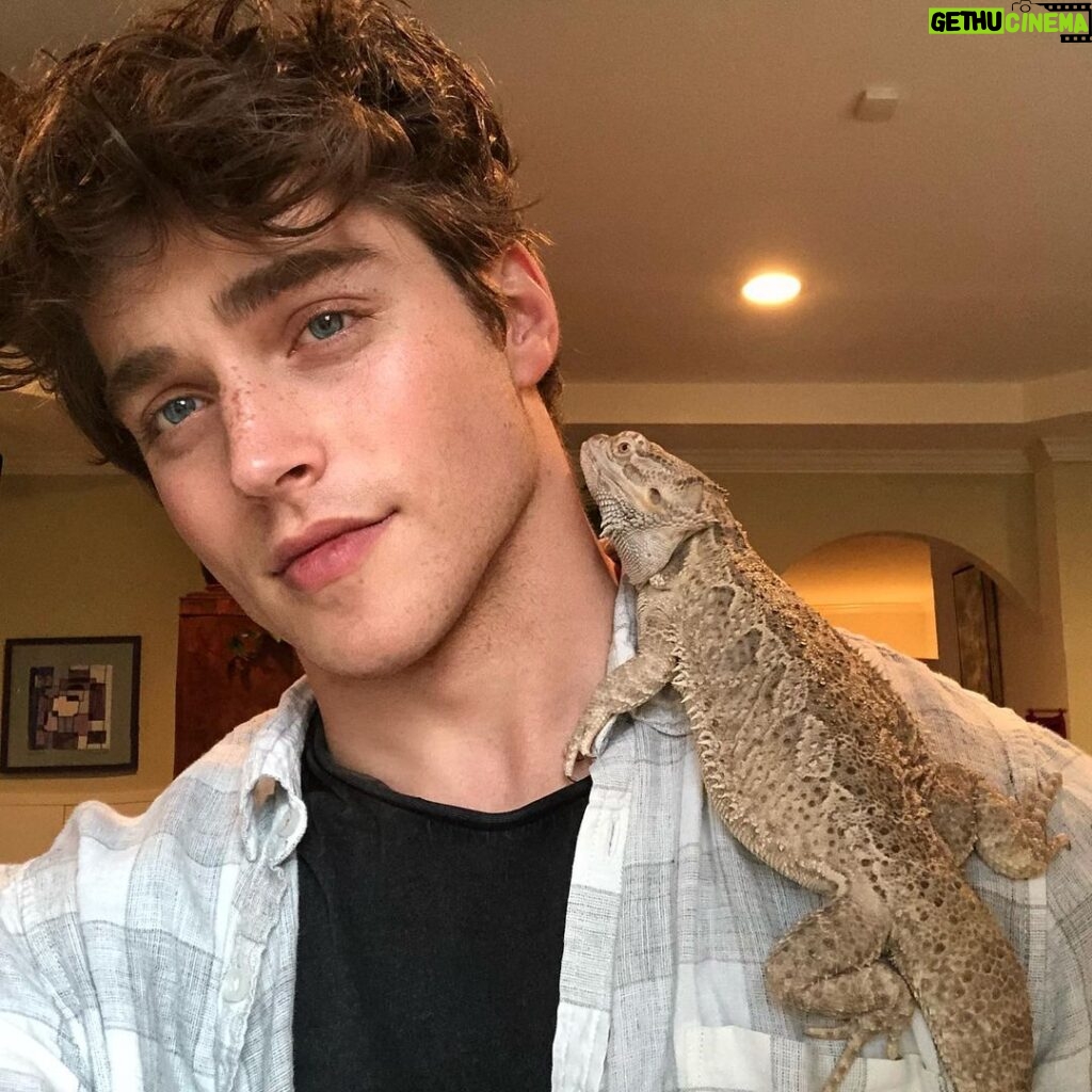 Froy Gutierrez Instagram - me n my dog ➖👌➖