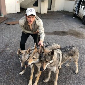 Froy Gutierrez Instagram - i made friends with some very good boys this weekend. ➖🐺➖