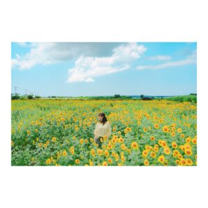 Fumino Kimura Instagram - ***
たくさんのお祝いメッセージ
ありがとうございます😄

素敵な作品に
スタッフの方々に
キャストのみなさんに
#深田晃司 監督に

恥じないよう
しっかりイタリアの空の下を歩いてきます！

↓詳しくはこちら↓
映画 #LoveLife(@lovelife_movie )

↓お仕事の最新情報はこちら↓
@kimura_fumino_mg 

#宮古島 #ひまわり畑