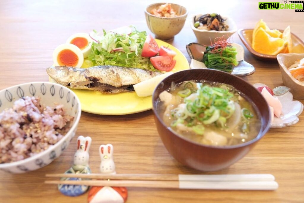 Fumino Kimura Instagram - *** 今日のごはんでした。 とっても鮮度の良いイワシが たくさん(笑)届いたので 内臓だけ処理して丸焼きして早速頂きました。 油がしっかりのって美味しかったな🤭✨ イワシ、海の中で見るのも食べるのも どちらも好きなんですけど とあるガイドさんが 『イワシは海のいきものみんなが食べる魚だからね』って。 (↑趣味のダイビング中の話です) そりゃ美味しい訳ですね🐟✨ 今日もいのちに感謝して、頂きます🙏 イワシの塩焼き 最近コンビニで売ってないから 自分で作った塩ゆでたまご めかぶキムチ納豆 五目ひじき、切り干し大根 ほうれん草のお浸し #奥能登 #ふるきみ の おかあさん自家製梅干しと新生姜 あまり野菜のとん汁風、雑穀米 甘平🍊 ちょっこっとずつ色々食べたかった日でした。 昨日はひな祭りでしたね！ 健やかな成長を✨