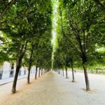 Gökhan Alkan Instagram - 🇫🇷 Paris, France