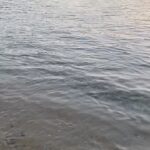 Gülse Birsel Instagram - 3 gün önce Bodrum ve fonda şu anki duygu durumum. 😒