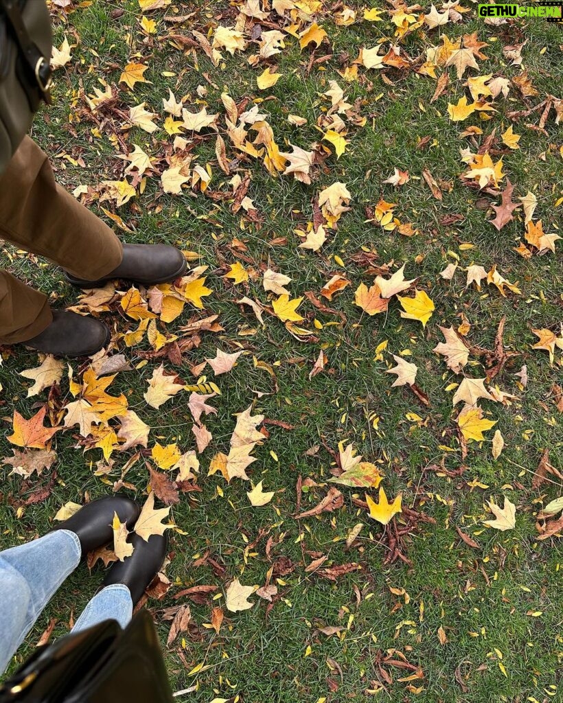 Gabbi Garcia Instagram - autumn leaves 🍁 Toronto Ontario Canada