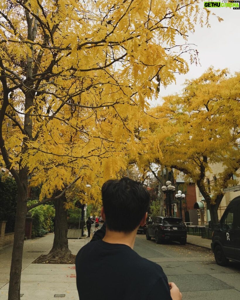 Gabbi Garcia Instagram - autumn leaves 🍁 Toronto Ontario Canada