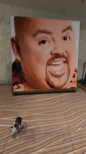 Gabriel Iglesias Instagram - My dogs have no chill 😂 Thank u @hair.brained.ideas for this awesome Fluffy art w/ Rubiks cubes.