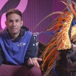 Gabriel Montiel Instagram - Nuestro tercer lugar de ¿#QuiénEsLaMáscara? es Werevertumorro, quien disfrutó al máximo su personaje, haciendo y deshaciendo muchas cosas en el escenario, pero sobre todo las risas que no faltaron 😎🐆