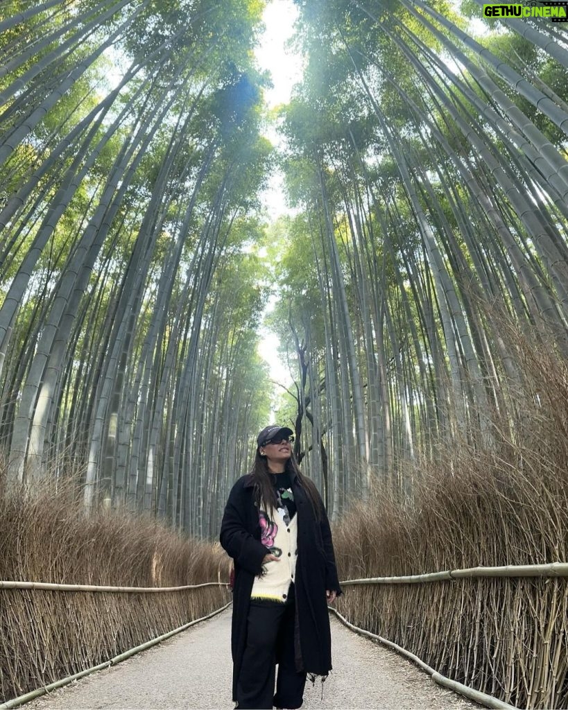 Galilea Montijo Instagram - #kyoto #bosquedebambukyoto 😎 Bamboo Forest