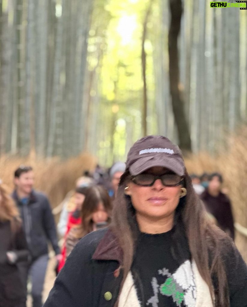 Galilea Montijo Instagram - #kyoto #bosquedebambukyoto 😎 Bamboo Forest