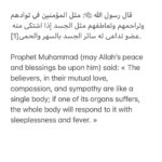 Gamila Awad Instagram - 🤍🕊🌹 My heart and prayers has been there for the past week I find it hard to celebrate anything where I am our hearts are mourning on our beloved families in Syria and Turkey. However, I believe in Allah’s wisdom and the scenes of numerous children that come out from the rubbles sleeping, smiling or telling stories about angels taking care of them is strengthening my belief. Let’s replace our Sadness with as much help as we can while we celebrate Valentine’s Day with our loved let’s with our donations help save the lives of their and of course our loved ones in Syria and Turkey. These are the two entities I trust your donations reach out to our people there. @the_whitehelmets @oneummahcharity لقد كان قلبي ودعواتي هناك طوال الأسبوع الماضي ، أجد صعوبة في الاحتفال بأي شيء أكون فيه قلوبنا حزينة على عائلاتنا الحبيبة في سوريا وتركيا. ومع ذلك ، فأنا أؤمن بحكمة الله وأن مشاهد العديد من الأطفال الذين يخرجون من الركام نائمين أو مبتسمين أو يروون قصصًا عن رعاية الملائكة لهم يقوي إيماني. دعونا نستبدل حزننا بأكبر قدر ممكن من المساعدة بينما نحتفل بعيد الحب مع أحبائنا من خلال تبرعاتنا التي تساعد في إنقاذ حياتهم وبالطبع أحبائنا في سوريا وتركيا.
