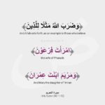 Gamila Awad Instagram - Woman-امرأة Via @arabicwords_0 🤍