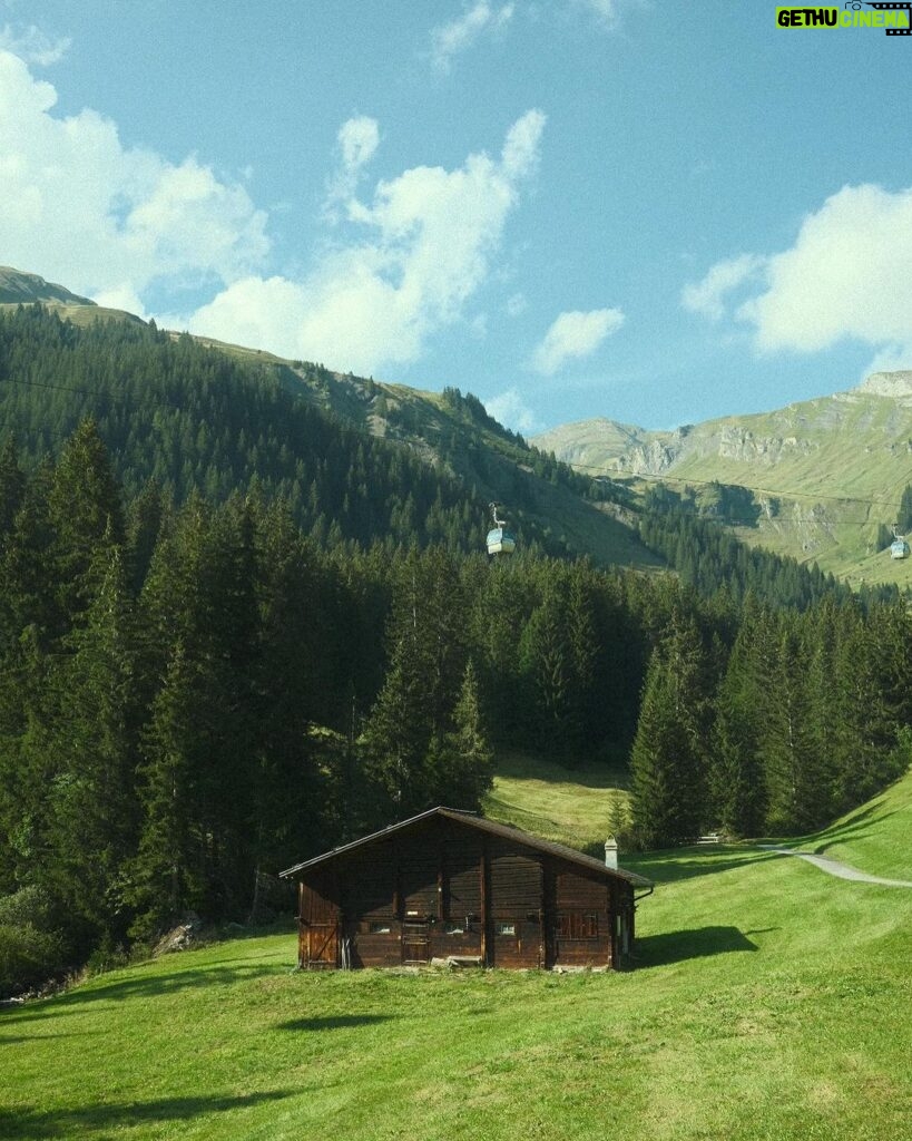 Gavin Casalegno Instagram - I thought Swiss Cows were a myth🧚🏼 Grindelwald, Switzerland