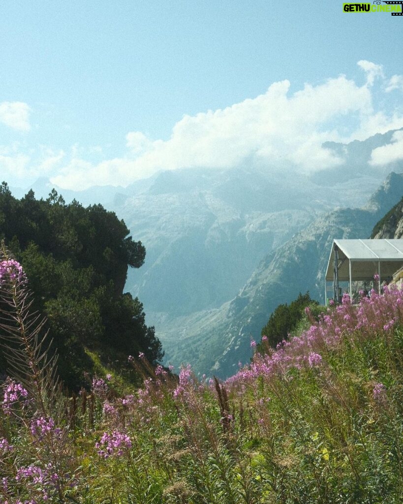 Gavin Casalegno Instagram - All Creation Groans Lucerne, Switerland