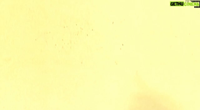 Gelare Abbasi Instagram - * انتشار نسخه ویژه نابینایان «به همین سادگی» با صدای مهراوه شریفی‌نیا مهراوه شریفی‌نیا فیلم سینمایی «به همین سادگی» ساخته سید رضا میرکریمی را برای نابینایان توضیح‌دار کرد. به گزارش روابط عمومی سوینا، این گروه نسخه ویژه نابینایان فیلم سینمایی «به همین سادگی» ساخته سید رضا میرکریمی را روز پنجشنبه ۱۴ مرداد ماه در چارچوب برنامه فیلمخانه منتشر می‌کند. این فیلم روز پنجشنبه ساعت ۱۹ از رادیو سوینا پخش می‌شود و پس از آن، روی سایت سوینا در دسترس مخاطبان قرار می‌گیرد. نظارت متن و ضبط این برنامه به عهده کیوان کثیریان بوده و متن روایت آن را شیدا محمدطاهر نوشته است. این برنامه در استودیو شهرصدای پارسیان ضبط شده و مرجان طبسی آن را میکس و تدوین کرده است. علاقمندان می‌توانند با مراجعه به پایگاه اینترنتی سوینا به نشانی www.sevinagroup.com به فایل صوتی فیلم‌های سینمایی توضیح‌دار دسترسی داشته باشند. این گروه پیشتر نسخه توضیح‌دار فیلم‌های سینمایی ایرانی «روز واقعه» با صدای افشین زی‌نوری، «دلشدگان» با صدای شبنم مقدمی، «مادر» با صدای احترام برومند، «بنفشه آفریقایی» با صدای علیرضا شجاع‌نوری، «باشو غریبه کوچک» با صدای پریناز ایزدیار، «خانه دوست کجاست» با صدای ستاره اسکندری، «یک بوس کوچولو» با صدای علیرضا آرا، «من، ترانه ۱۵ سال دارم» با صدای سارا بهرامی، «هامون» با صدای پرویز پرستویی، «روسری‌ آبی» با صدای رخشان بنی‌اعتماد، «مسافران» با صدای صابر ابر، «اجاره‌نشین‌ها» با صدای هوتن شکیبا و «درباره الی» با صدای فرشته صدرعرفایی در قالب برنامه فیلمخانه منتشر کرده است. سوینا را در نشانی‌های اینترنتی زیر پی‌گیری کنید: www.sevinagroup.com www.aparat.com/sevinagroup www.instagram.com/sevinagroup T.me/sevinagroup T.me/radio_sevina https://www.youtube.com/channel/UCs2-CtvQ8W3YZ2M7Xy8DQHQ https://twitter.com/sevinagroup @sevinagroup @mehraveee @gelarehabbasi @kkasirian @persiansoundcity @marjan.tabasi ساخت تیزر: افشین ضیائیان @afshinziaian #سوینا #سینمای_نابینایان #گروه_سوینا #sevinagroup #فیلم_صوتی #گلاره_عباسی #فیلمخانه #به_همین_سادگی #رضامیرکریمی  #رضا_میرکریمی  #فیلم_سینمایی #سینما  #فیلم_سینمایی_توضیحدار #مهراوه_شریفی_نیا