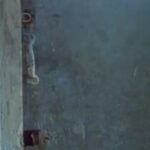 Gelare Abbasi Instagram - انتشار نسخه ویژه نابینایان فیلم سینمایی خانه دوست کجاست با صدای ستاره اسکندری   ستاره اسکندری فیلم سینمایی «خانه دوست کجاست» ساخته عباس کیارستمی را برای نابینایان توضیح‌دار کرد.   به گزارش روابط عمومی سوینا، این گروه نسخه ویژه نابینایان فیلم سینمایی «خانه دوست کجاست» ساخته عباس کیارستمی را روز پنجشنبه هجدهم دی ماه در چارچوب برنامه فیلمخانه منتشر می‌کند. این فیلم روز پنجشنبه ساعت ۱۹ از رادیو سوینا پخش می‌شود و پس از آن، روی سایت سوینا در دسترس مخاطبان قرار می‌گیرد. نظارت متن و ضبط این برنامه به عهده کیوان کثیریان بوده، متن روایت این فیلم را محدثه واعظی‌پور نوشته و در استودیو فراز ضبط و میکس شده است. علاقمندان می‌توانند با مراجعه به پایگاه اینترنتی سوینا به نشانی www.sevinagroup.com به فایل صوتی فیلم‌های سینمایی توضیح‌دار دسترسی داشته باشند. این گروه پیشتر نسخه توضیح‌دار فیلم‌های سینمایی ایرانی «روز واقعه» با صدای افشین زی‌نوری، «دلشدگان» با صدای شبنم مقدمی، «مادر» با صدای احترام برومند، «بنفشه آفریقایی» با صدای علیرضا شجاع‌نوری و «باشو غریبه کوچک» با صدای پریناز ایزدیار را در قالب برنامه فیلمخانه منتشر کرده است. سوینا را در نشانی‌های اینترنتی زیر پی‌گیری کنید: www.sevinagroup.com www.aparat.com/sevinagroup www.instagram.com/sevinagroup T.me/sevinagroup T.me/radio_sevina https://www.youtube.com/channel/UCs2-CtvQ8W3YZ2M7Xy8DQHQ https://twitter.com/sevinagroup @setareheskandari @gelarehabbasi @kkasirian @farazstudio ساخت تیزر: افشین ضیائیان #سوینا #سینمای_نابینایان #گروه_سوینا #sevinagroup #فیلم_صوتی #گلاره_عباسی #فیلمخانه #خانه_دوست_کجاست  #عباس_کیارستمی #ستاره_اسکندری  #فیلم_سینمایی #سینما  #فیلم_سینمایی_توضیحدار