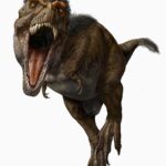 Georges St-Pierre Instagram - It’s crazy how much the perception of what the famous Tyrannosaurus Rex might look like has changed over the years.