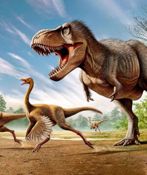 Georges St-Pierre Instagram - It’s crazy how much the perception of what the famous Tyrannosaurus Rex might look like has changed over the years.