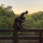 Giovanna Grigio Instagram - Fui a Chichén Itzá e Cobá, conheci os cenotes, aprendi sobre a cultura maya, encontrei pessoas especiais e me conectei com a espiritualidade, tudo isso na melhor companhia (te amo irmã @gabimedvedovski ) e com a ajuda da @outsidertours que nos ajudou a organizar a viagem de férias que a gente queria (e precisava)! Gracias a todos de La península de Yucatán por recibirnos con tanto cariño y cuidado, ojalá regresemos pronto! 🤍 Chichén-Itzá