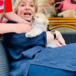 Googoosh Instagram - Birthday Boy🐶 @koppolatashin #5 تولد داریم چه تولدی کُپل من ۵ ساله شد ❣️ #rescuedog #southkorea