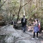 Greg Hsu Instagram - 山上混混 一段愛與芬多精的旅程 或許是山靈能讓壓抑的情緒暫時得到釋放 下了山 身體反而輕鬆了不少 心裡想著得來不易的平靜 回頭看山慢慢變小的樣子 我喜歡 這種看山小的感覺 有種動靜皆宜的美感