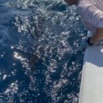 Griffin Johnson Instagram - almost died today.. about 2 inches away to be exact.. good thing almost doesn’t count Miami, Florida