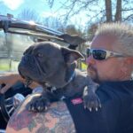 Guy Fieri Instagram – HAPPY BIRTHDAY to 
my wing man,
Smokey’s co conspirator,
The hiking machine,
Sir snores a lot,
Protector of the castle,
Tv star,
Pig Pig,
 
$$$ CASH $$$

Happy 3rd Birthday