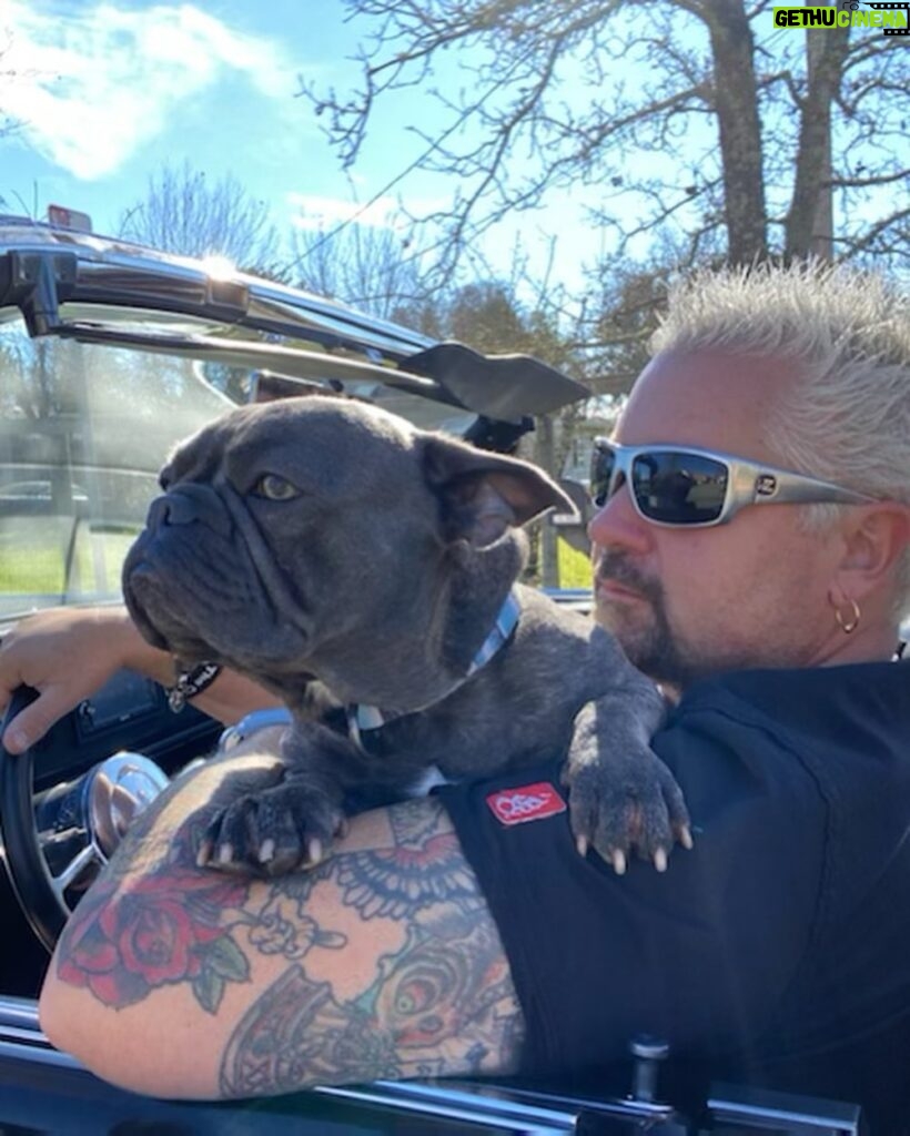 Guy Fieri Instagram - HAPPY BIRTHDAY to my wing man, Smokey’s co conspirator, The hiking machine, Sir snores a lot, Protector of the castle, Tv star, Pig Pig, $$$ CASH $$$ Happy 3rd Birthday