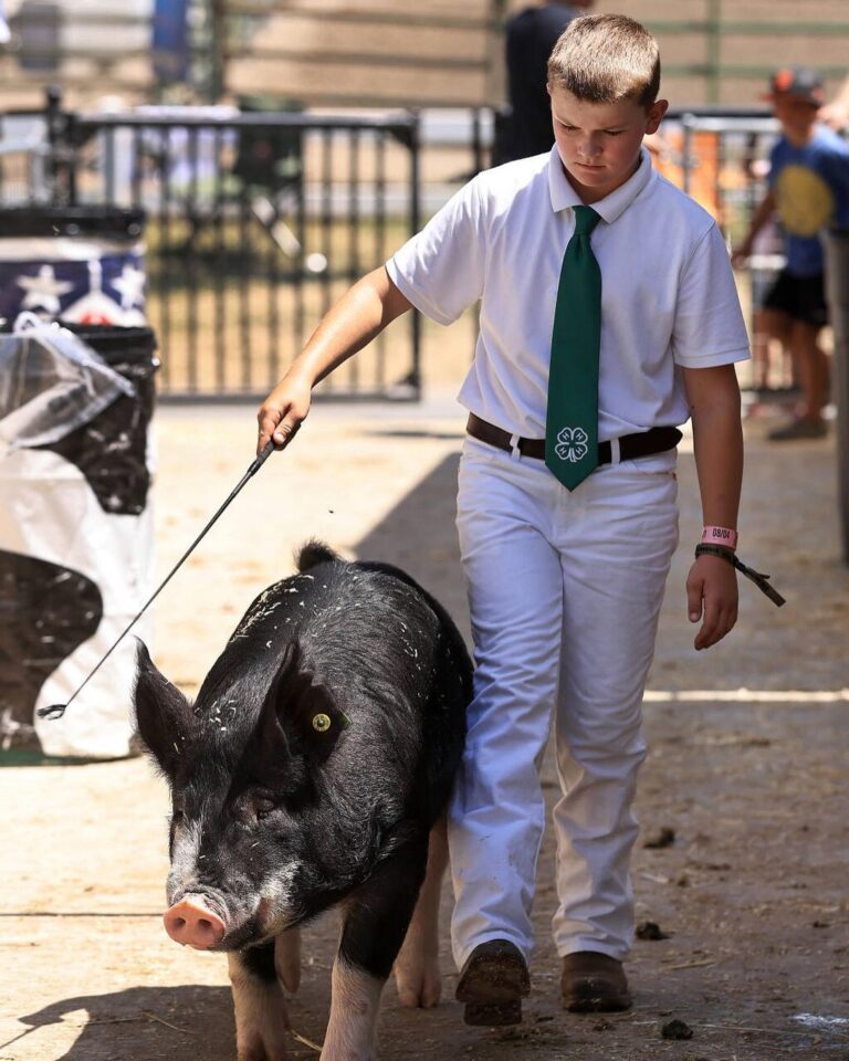 Guy Fieri Instagram - I bought this young man’s hog yesterday at the fair. He is donating the money for cancer research for his brother, Jett. I lost my sister to cancer and I am so proud of Jaxon and his family. We pledge $10,000 in honor of Jaxon and his brother Jett. Sonoma County Fairgrounds