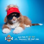 Guy Fieri Instagram - Is it just me, or does this dog resemble someone I know...🔥 Watch Guy Fureri in #PuppyBowl Sunday, Feb 11 at 2p ET/11a PT on @AnimalPlanet! And watch me in Tournament of Champions Sunday, February 18th at 8pm on @FoodNetwork!