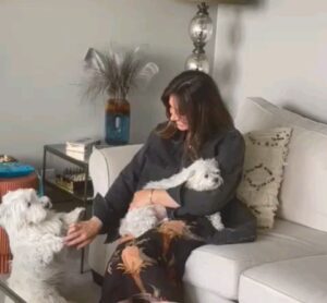 Haala Shiha Instagram - لما تكون مرتاح بتقي سعيد و لا لما بتكون سعيد بتبقي مرتاح 😄😄😄???
امبارح كان يوم سعيد و مرتاح 😁😁
رشا و تشارلي I love you both ♥️ ❤️ 💖 
#happy #goodvibes 
#hala_shiha_new