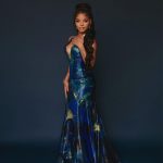 Halle Bailey Instagram – thank you pcas for a beautiful night !! 🧜🏽‍♀️🌊🐠