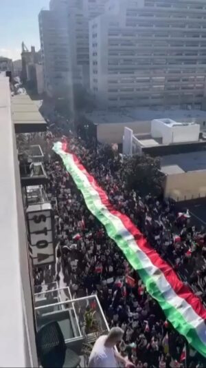 Hamid Farrokhnejad Instagram - تمام قد به احترام این حضور تاریخی و مقتدر ایرانیان وطن پرست خارج کشور در همصدایی با مردم داخل و نفی حکومت ظلم میایستیم ، کوچک نمایی و تضعیف این حماسه بزرگ وظیفه مزدوران شکست خورده وابسته رژیم اخوندی است ، همه ما در یک صف برای ازادی ایران و تکرار حضورهایی از این دست با اتحاد و یکپارچگی تا آزادی ایرانمان ایستاده ایم همه با هر سلیقه و هر گرایش سیاسی ، این افتخار متعلق به مردم ایران است نه هیچ حزب و گروهی ،پاینده باد ایران 💚🤍❤️
لطفا نشر حداكثري✌️