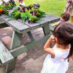 Hamish Daud Instagram - The girls had a blast! Zalina made some new friends too 🦘 Australia