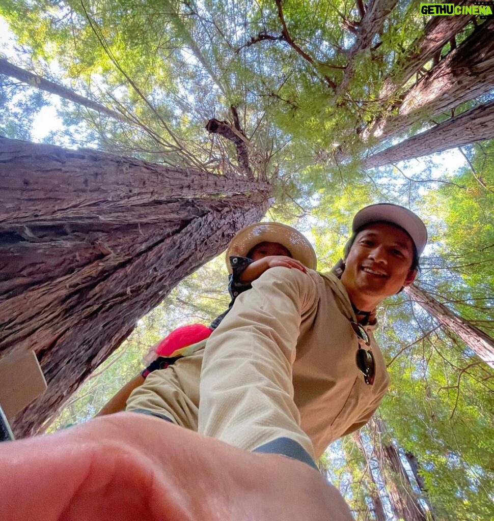 Harry Shum Jr. Instagram - ⬆️ 🌳 👒 🌳 ⬆️ Pfeiffer Big Sur State Park